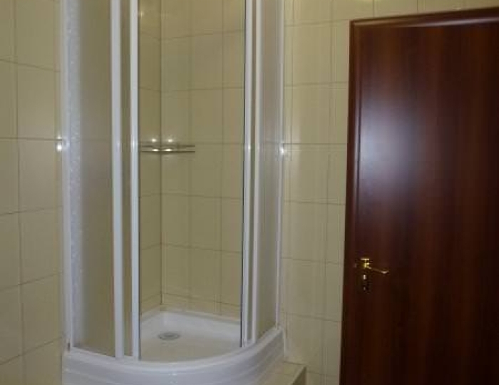 Номер стандарт с 1 двуспальной кроватью (с завтраком) - Санаторий «Полосухинский» Новокузнецк