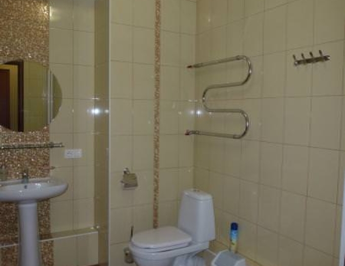 Номер стандарт с 1 двуспальной кроватью (с завтраком) - Санаторий «Полосухинский» Новокузнецк